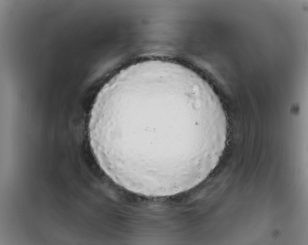 X0000100411399200807032026