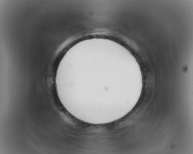 X0000100411400200807032027