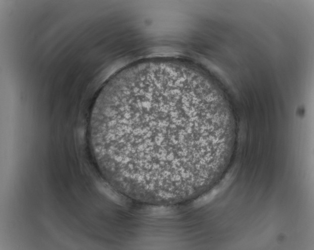 X0000100411401200807032027