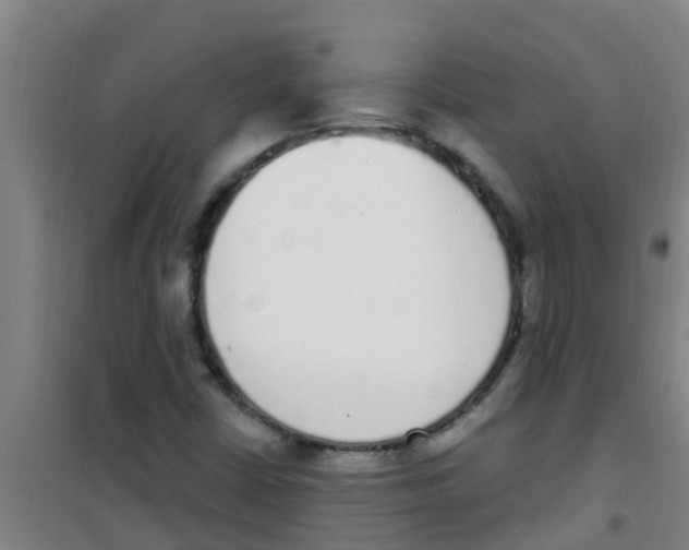 X0000100411402200807032027
