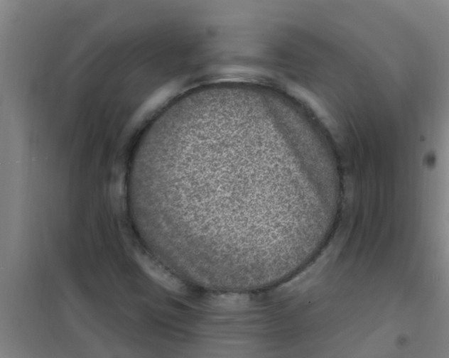 X0000100411403200807032027