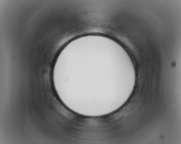 X0000100411404200807032027