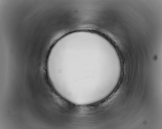 X0000100411405200807032027