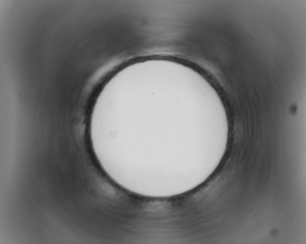 X0000100411406200807032027