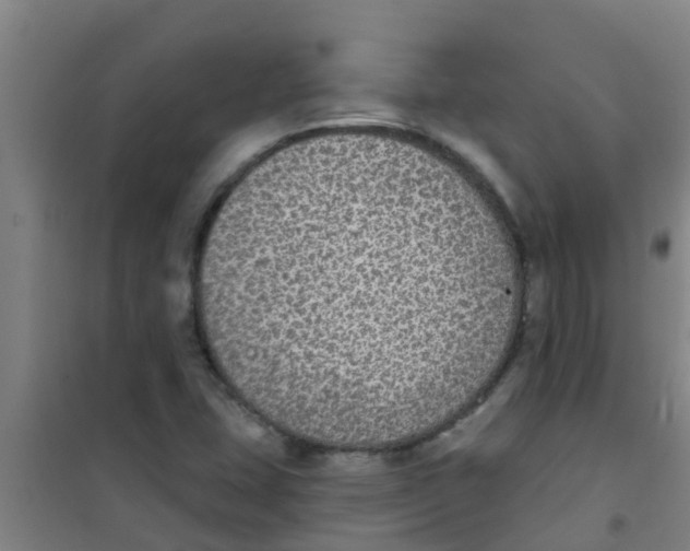 X0000100411407200807032027