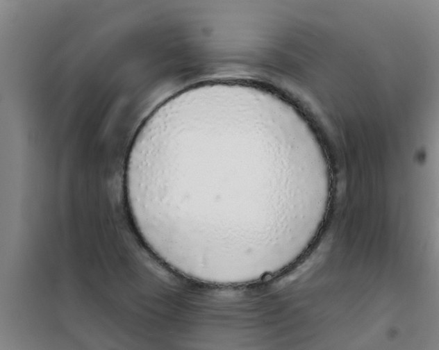 X0000100411409200807032027