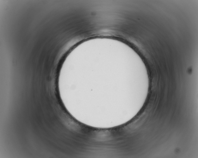 X0000100411410200807032027