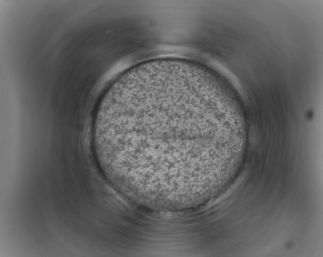 X0000100411411200807032027