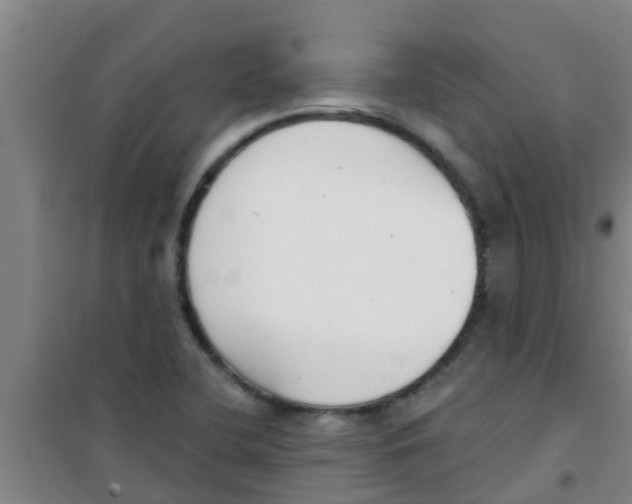 X0000100411412200807032027