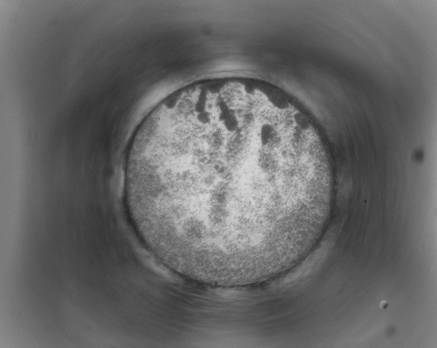 X0000100411413200807032027