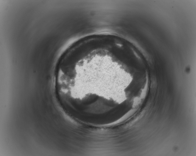 X0000100411414200807032027