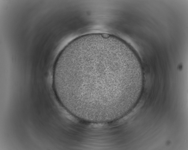 X0000100411415200807032027