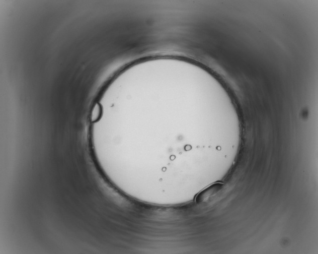 X0000100411416200807032027