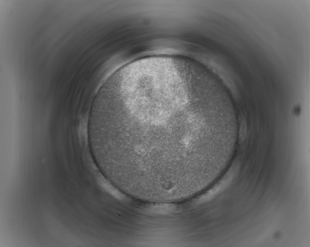 X0000100411417200807032027