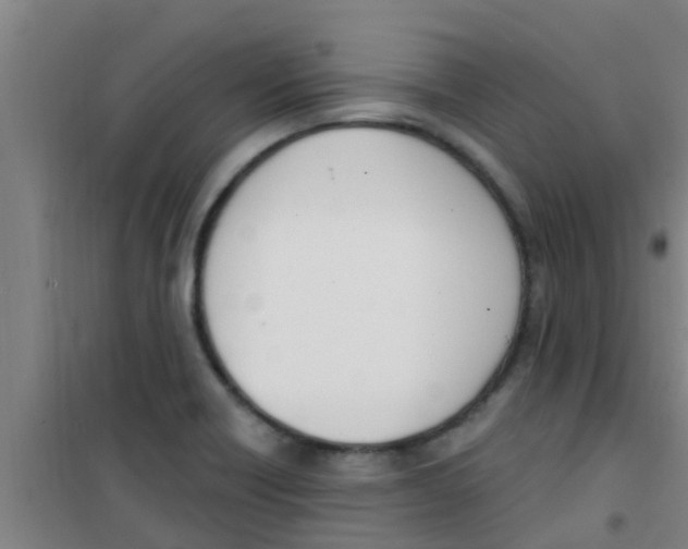 X0000100411418200807032027