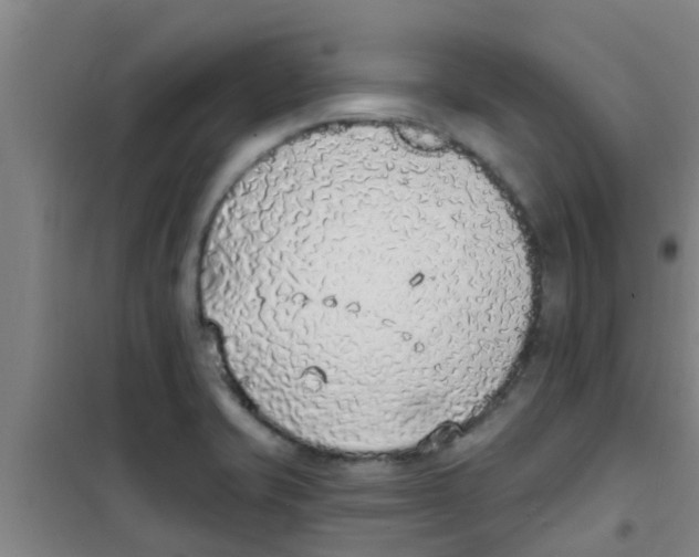 X0000100411421200807032027