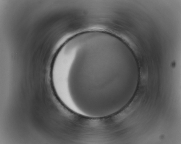 X0000100411422200807032027