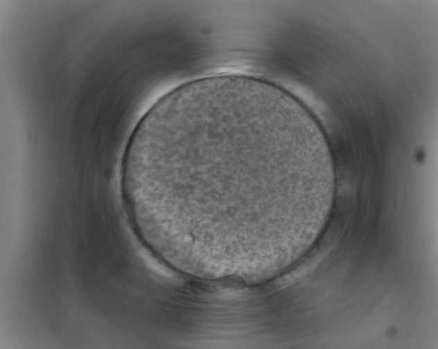 X0000100411423200807032027