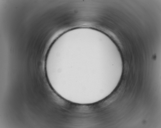 X0000100411424200807032027