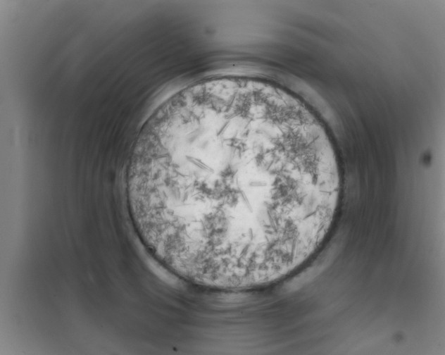 X0000100411425200807032027