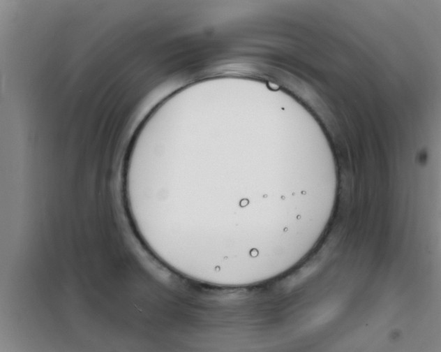 X0000100411426200807032027