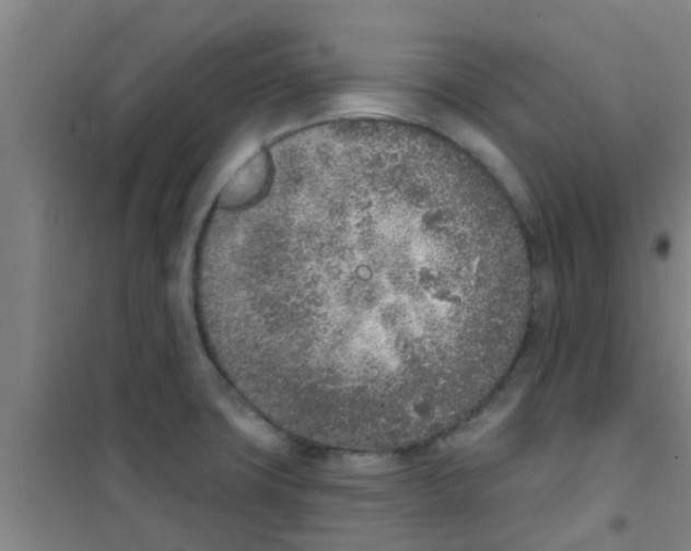 X0000100411427200807032027