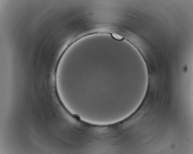 X0000100411428200807032027