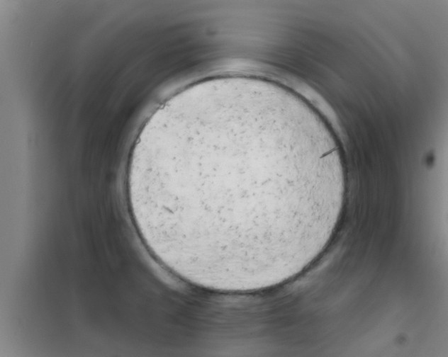 X0000100411429200807032027