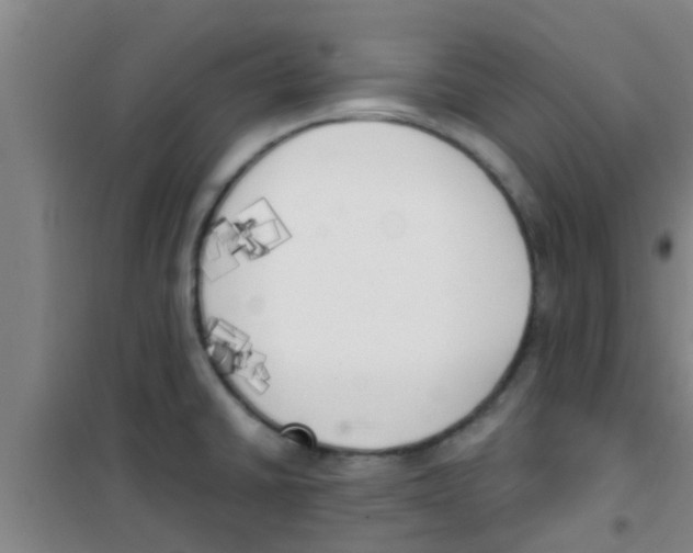 X0000100411430200807032027