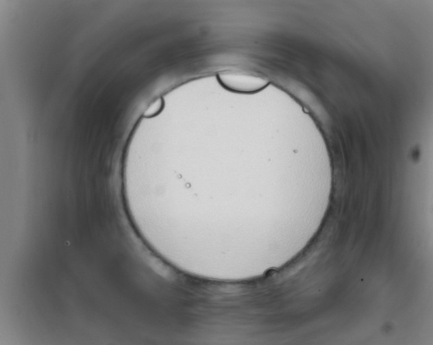 X0000100411431200807032027