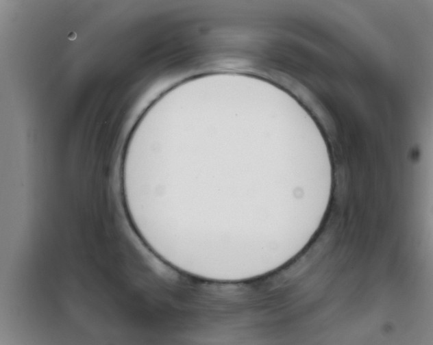 X0000100411432200807032027