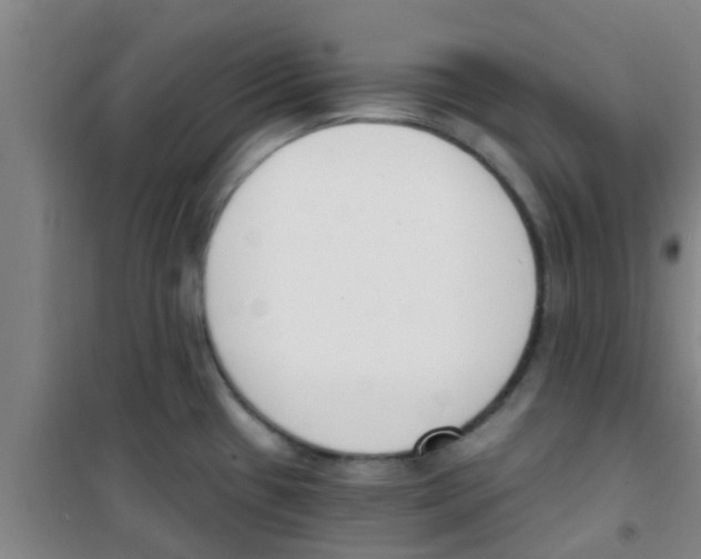 X0000100411433200807032027