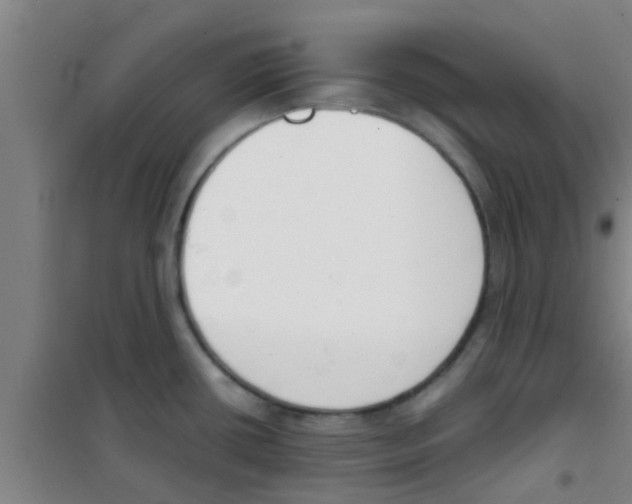 X0000100411434200807032027