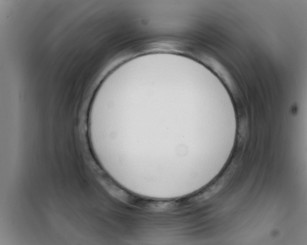 X0000100411435200807032027