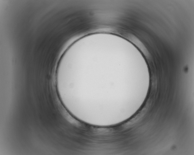 X0000100411436200807032027