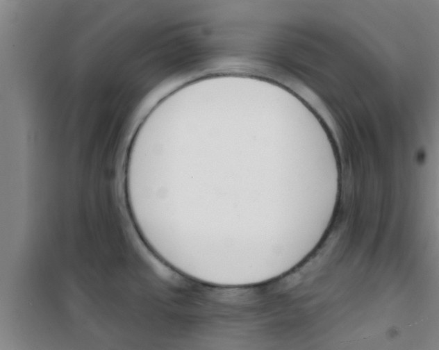 X0000100411437200807032027