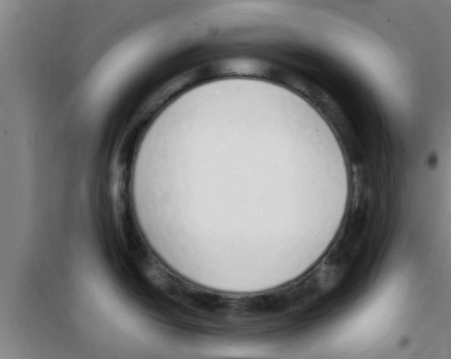 X0000100411438200807032027