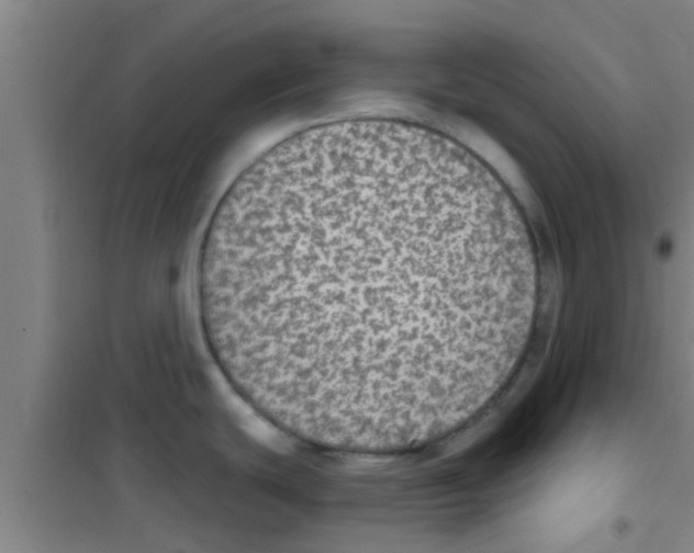 X0000100411439200807032027