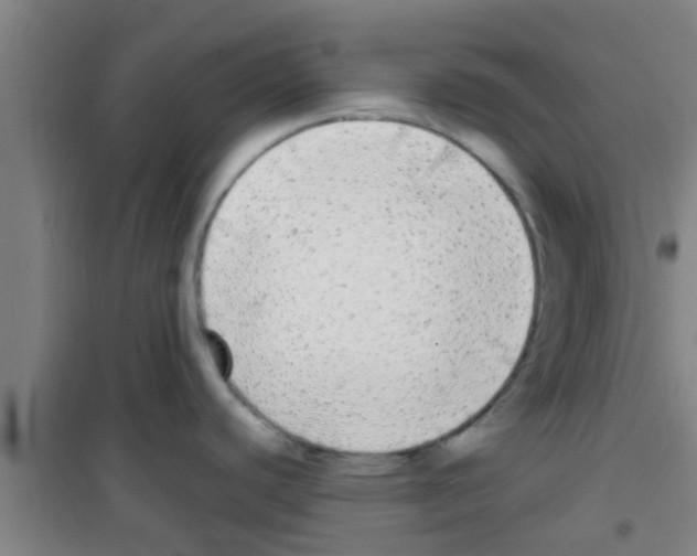 X0000100411440200807032027