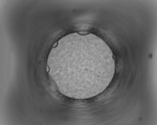 X0000100411441200807032026