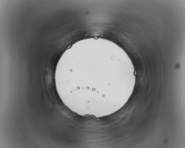 X0000100411442200807032026