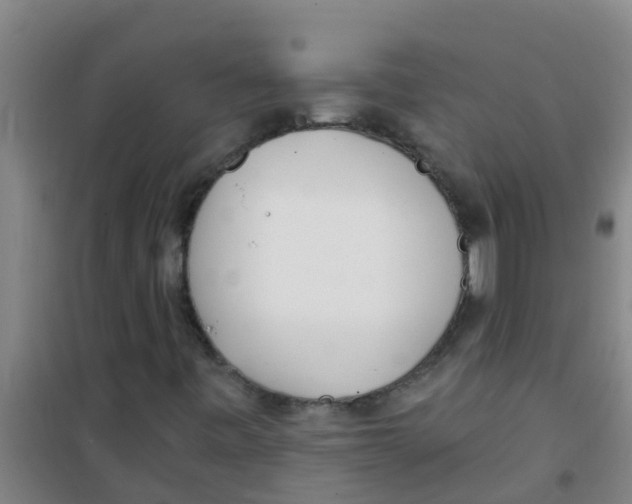 X0000100411443200807032026