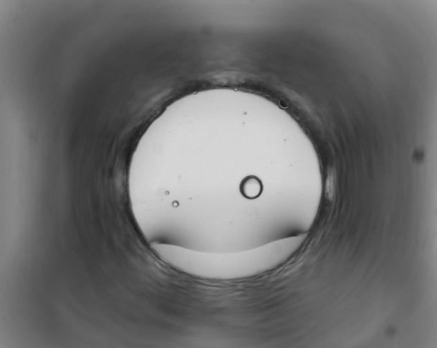 X0000100411444200807032026