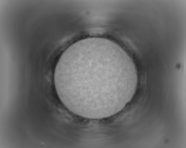 X0000100411445200807032026