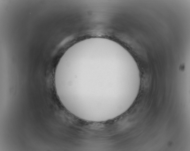 X0000100411446200807032026