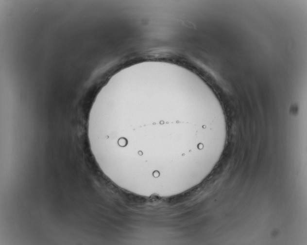 X0000100411447200807032026