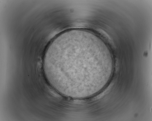 X0000100411449200807032026