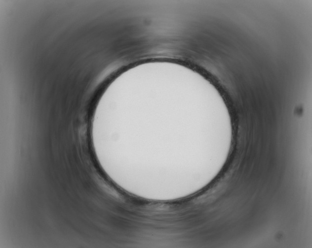 X0000100411450200807032026