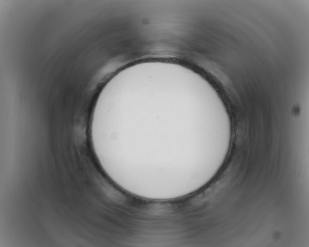 X0000100411451200807032026