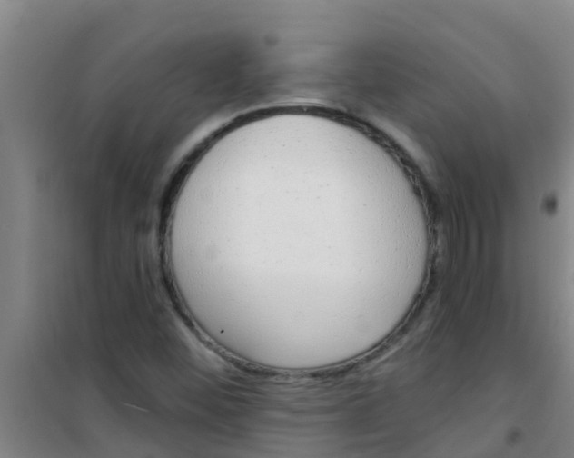 X0000100411452200807032026